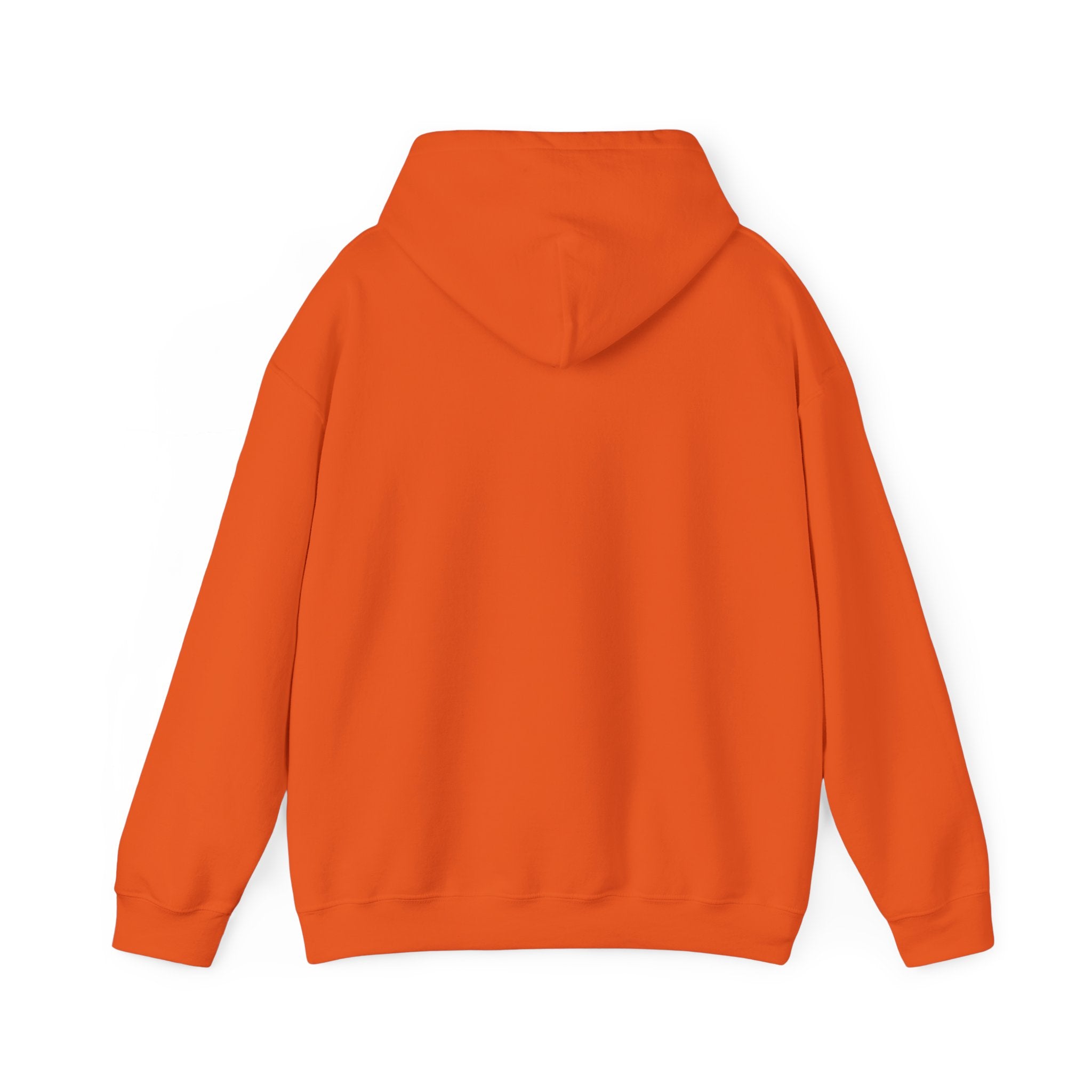 Pug Halloween Adult Hoodie - Pug-tastic Halloween Dog Adult Hoodie, Orange Halloween Adult Hoodie, Perfect Pug Gift, Halloween Gift