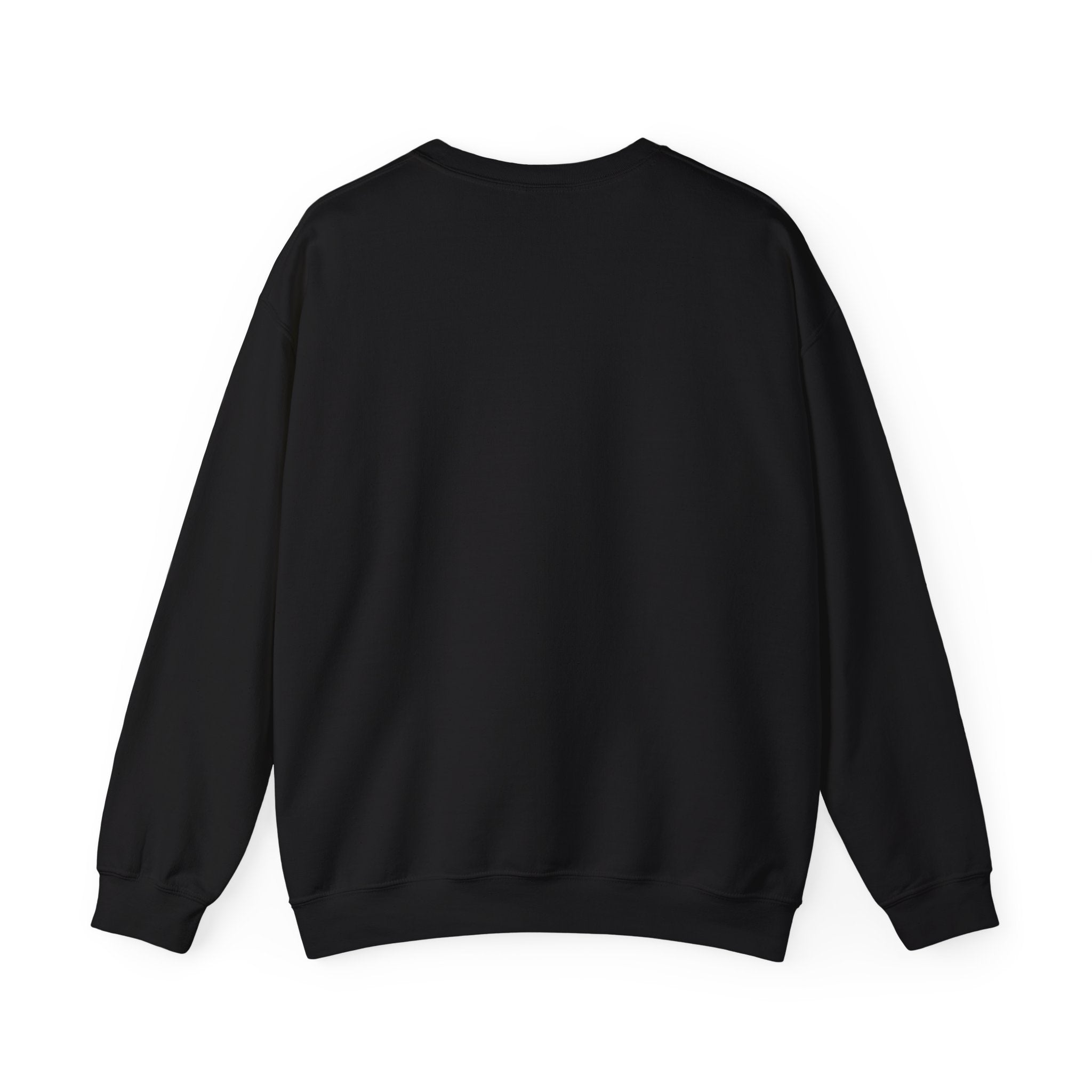 1692 Salem Halloween Adult Sweatshirt - 1692 In Salem We Trust Adult Sweatshirt, 1692 Salem Witch Sweatshirt, Women Halloween Sweatshirt